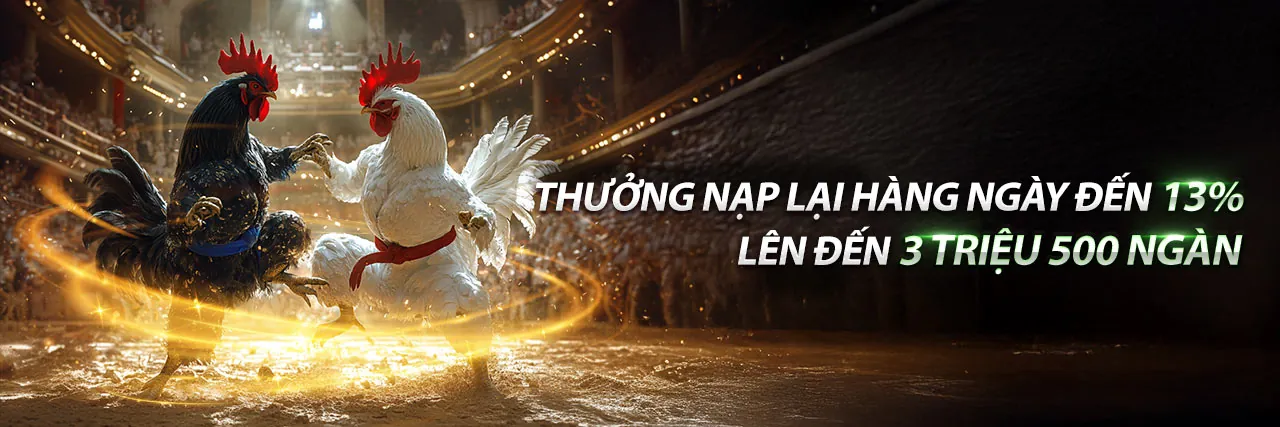 Các chương trình khuyến mãi hấp dẫn của bia66 win 2026